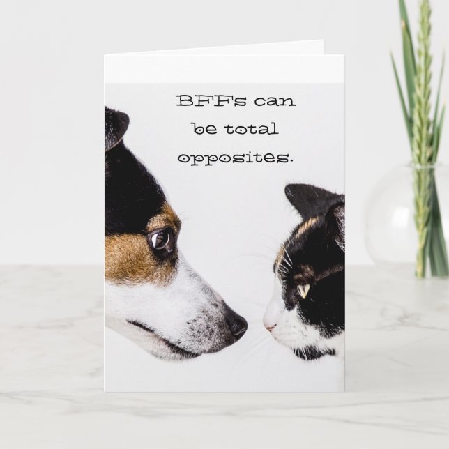 BFF Total Opposites Carte de voeux Chat & Chien (Devant)