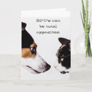 BFF Total Opposites Carte de voeux Chat & Chien