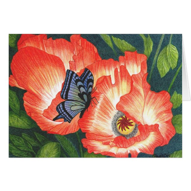 BFLYPOPY (Devant horizontal)