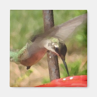 BG : Aimant aux colibris
