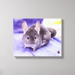 Bibelot ! - Copie de toile de chinchilla