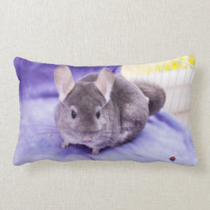 Bibelot ! - Coussin de chinchilla