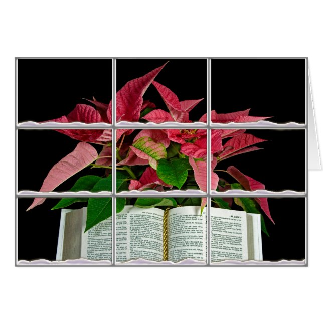 Bible avec poinsettia de Noël dans le cadre de la  (Devant horizontal)