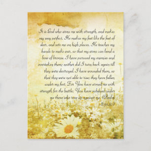 Bible passage, grunge daisy carte postale
