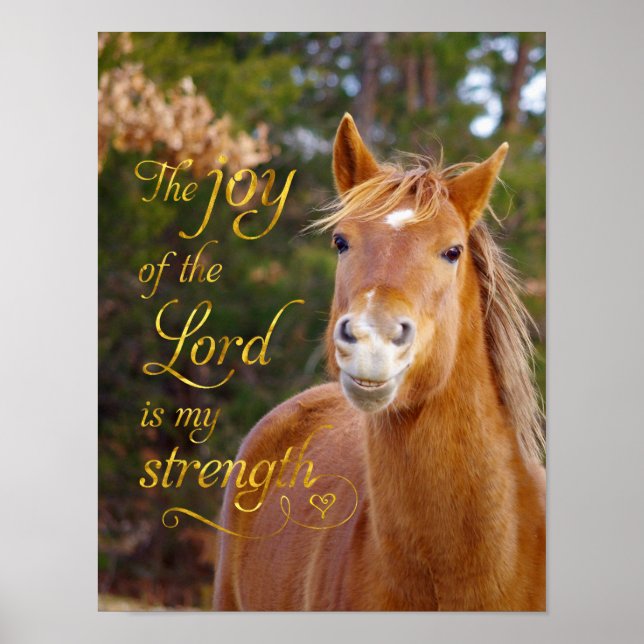 Bible Verse Souriant Chestnut Horse Poster (Devant)