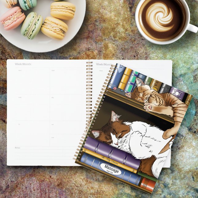 Bibliothèque de chats de plateau de livres (Créateur téléchargé)