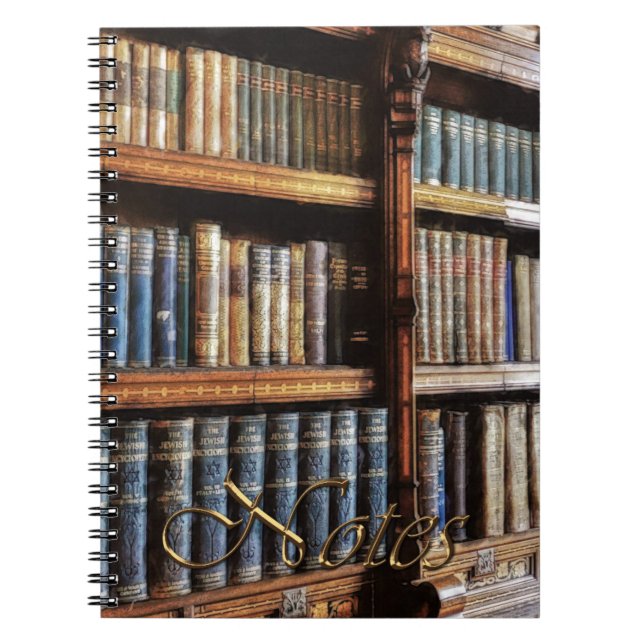 Bibliothèque médiévale et livres de l'Antiquité (Devant)