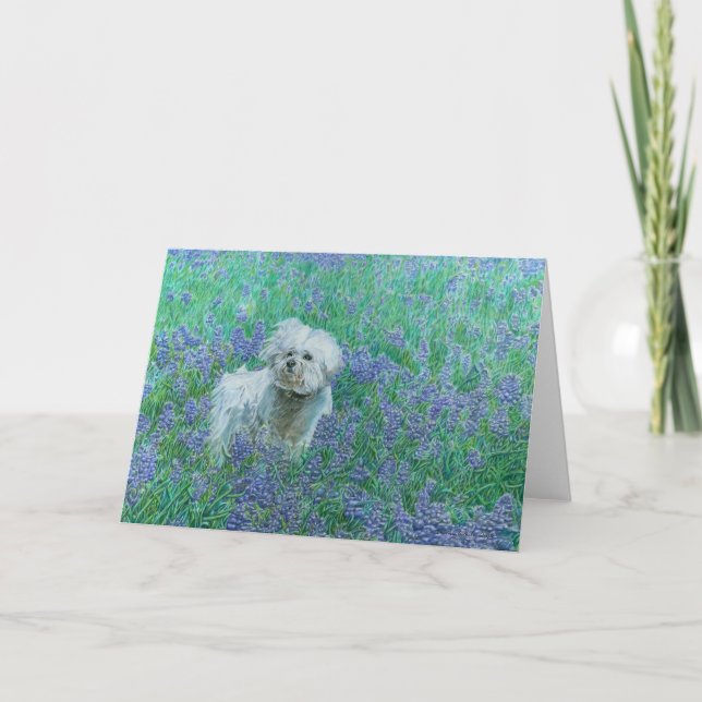 Bichon dans Bluebonnets Carte de voeux (Devant)