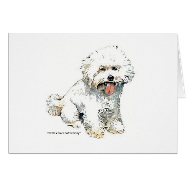 Bichon Frise (Devant horizontal)
