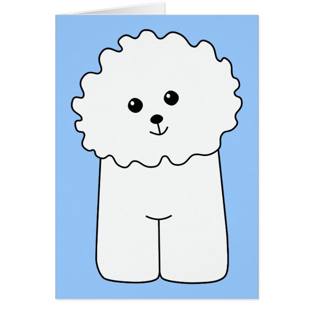 Bichon Frise. (Devant)