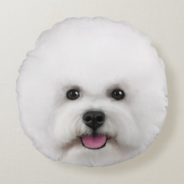 Bichon Frise a illustré autour du coussin (Devant)