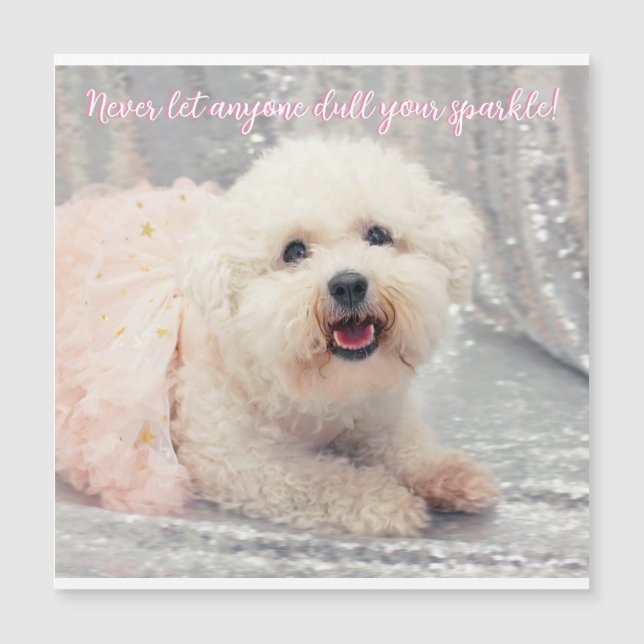 Bichon Frise Ballerina Noël Vibes positives (Devant)