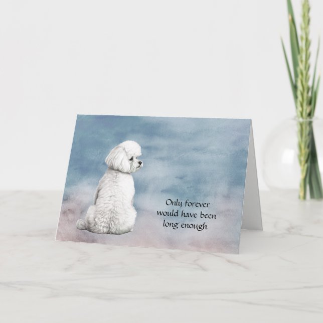 Bichon Frise Chien Perdre carte de sympathie (Devant)
