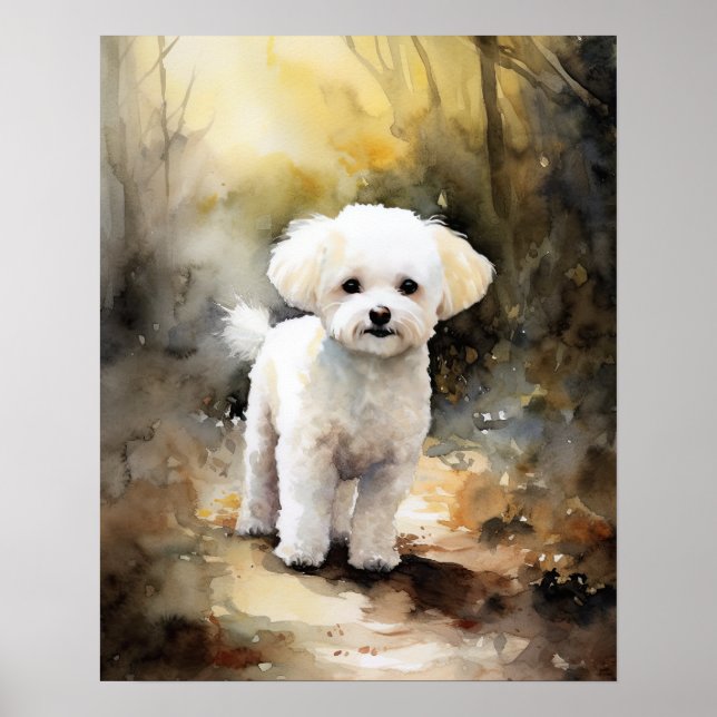 Bichon Frise Dog Art Imprimer Poster (Devant)