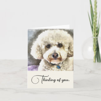 Bichon Frise Dog Pensée Personnalisée De Vous