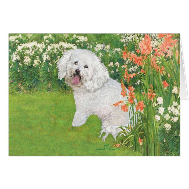 Bichon Frise Fantaisie Corail (Devant horizontal)