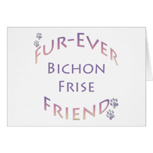 Bichon Frise Furever