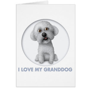 Bichon Frise Grand-chien