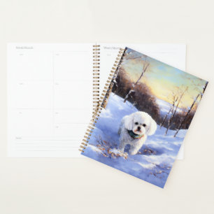 Bichon Frise Laisser neiger Noël