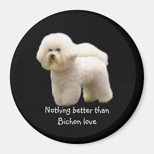 Bichon Frise Magnet (Devant)