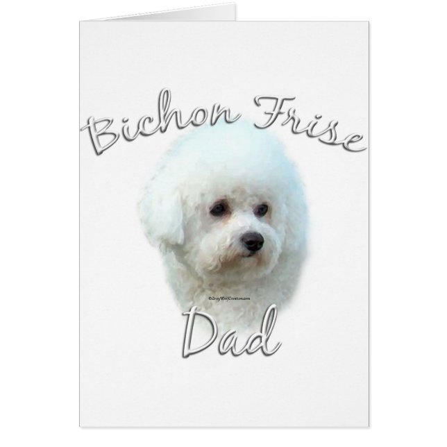 Bichon Frise Papa 2 (Devant)
