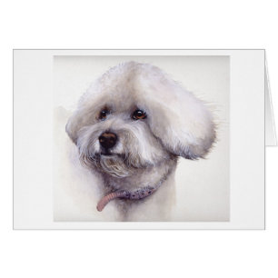 Bichon Frise peint dans la couleur pour aquarelle