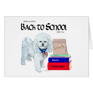 Bichon Frise Retour à l'école