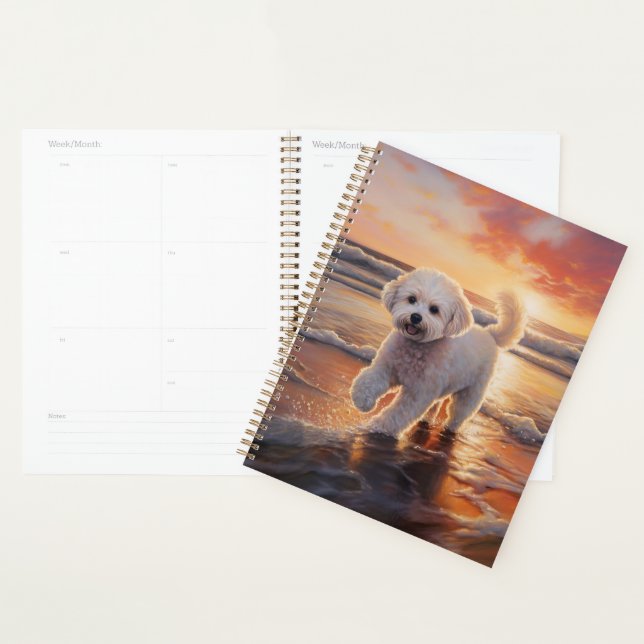 Bichon Frise Sandy Paws sur la plage au coucher du (Devant avec enveloppe)