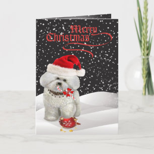 Bichon Frise Une joyeuse carte de voeux de Noël