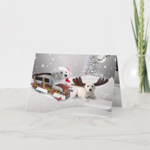 Bichon Frise Une joyeuse carte de voeux de Noël