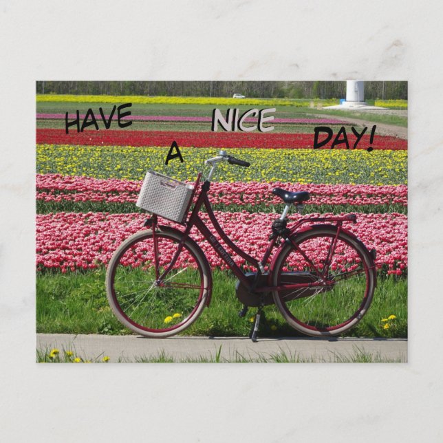 Bicyclette à Tulips Field Avoir une carte postale  (Devant)