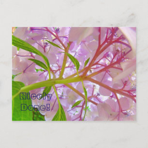 Bien fait ! carte postale Fleurs d'hortensia rose