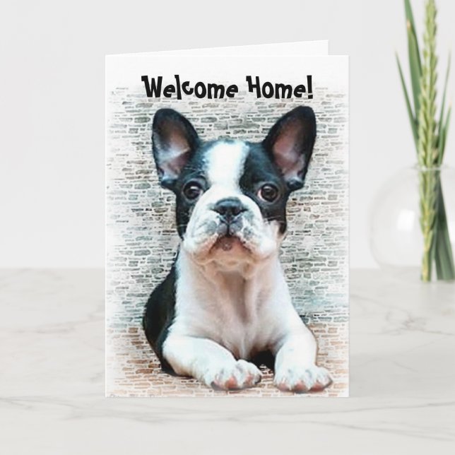 Bienvenue à la maison French bulldog carte de voeu (Devant)