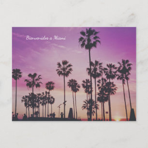 Bienvenue à Miami Palmiers Carte postale