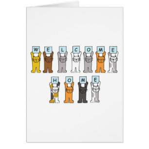 Bienvenue Accueil Cute Cartoon Chats