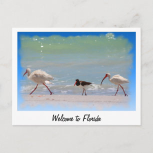 Bienvenue en Floride carte postale vacances d'été
