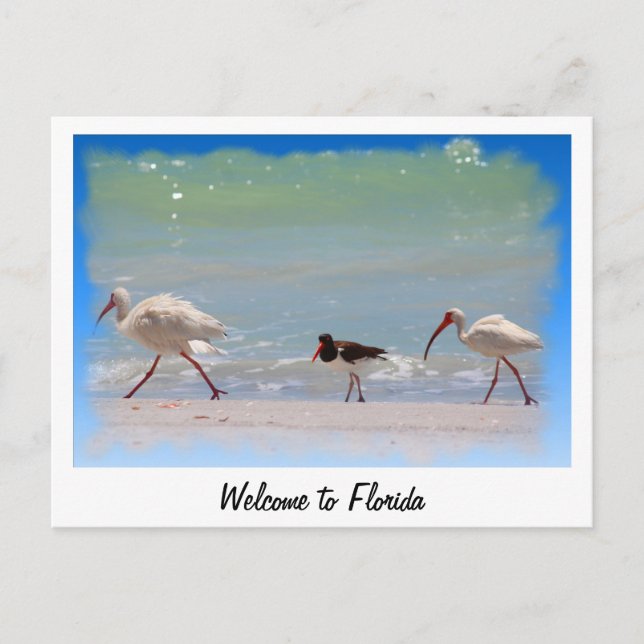 Bienvenue en Floride carte postale vacances d'été (Devant)