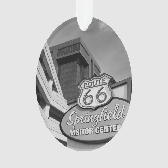 Bienvenue En Niveaux De Gris Springfield (dos)