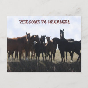 Bienvenue Sur La Carte Postale Nebraska