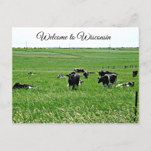 Bienvenue Wisconsin Cows in Field Carte postale