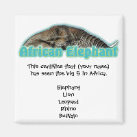 Big 5 Afrique magnets safari faune