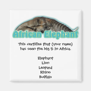 Big 5 Afrique magnets safari faune