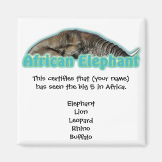 Big 5 Afrique magnets safari faune