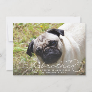 Big Brother Photo Pet Pregancy Faire-part