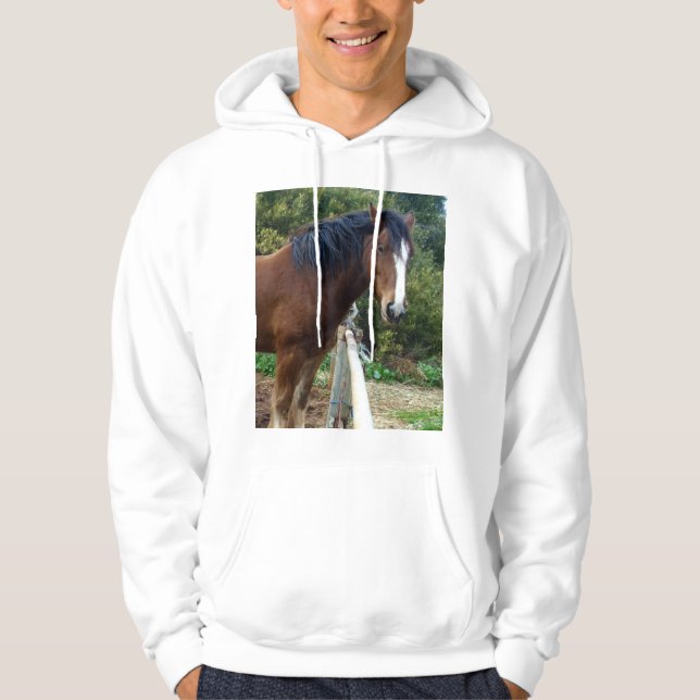 Big Brown Clydesdale Horse, Sweat - shirt à capuch (Devant)
