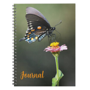 Big Joli Papillon et Flower Journal personnel
