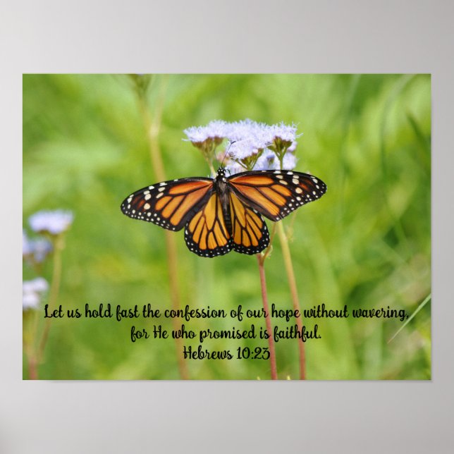 Big Monarch Butterfly sur Poster Art Fleur sauvage (Devant)