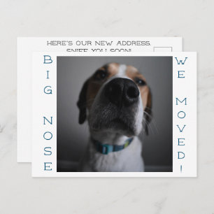Big Nosed Chien changement d'adresse Carte postale