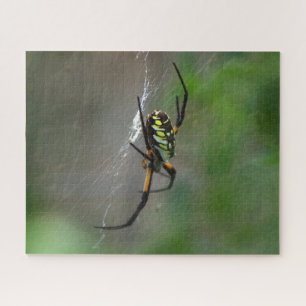 Big Orb Weaver Spider sur le Web Nature Puzzle