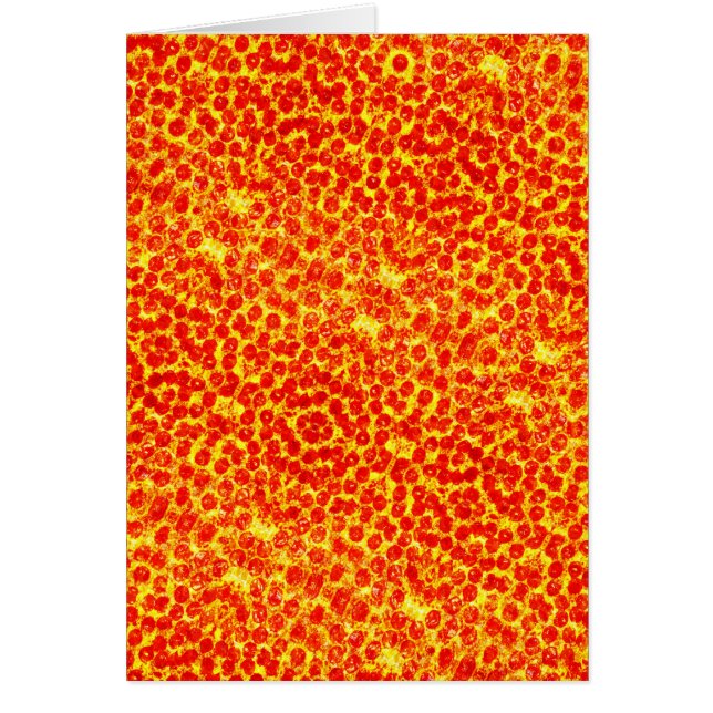 Big Pizza Motif (Devant)